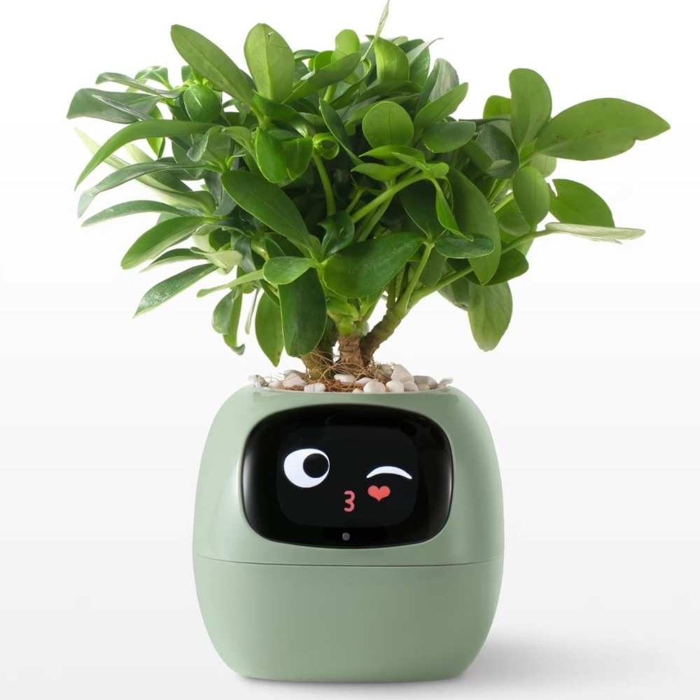 Smart Plant Pot Interactive LCD Screen Face Electronic Planter Sage Green